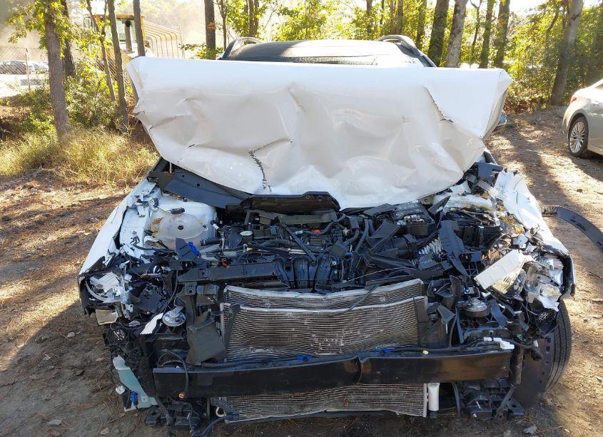 Photo 6 of 2023 Kia Sportage X-LINE (VIN 5XYK6CAF9PG094542)