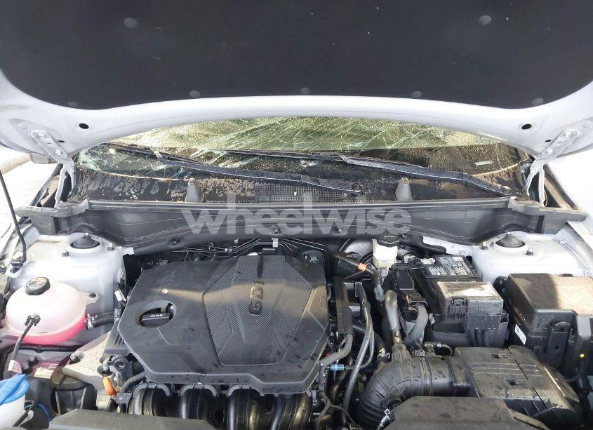 Photo 10 of 2024 Kia Sportage X-LINE (VIN 5XYK6CDF1RG168163)