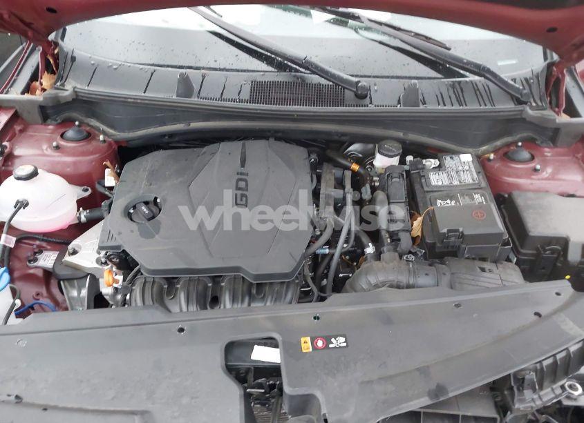 Photo 10 of 2024 Kia Sportage X-LINE (VIN 5XYK6CDF1RG191863)