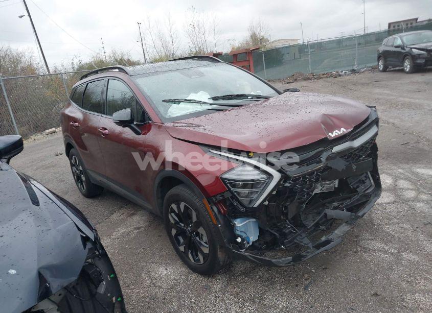 Photo 13 of 2024 Kia Sportage X-LINE (VIN 5XYK6CDF1RG191863)