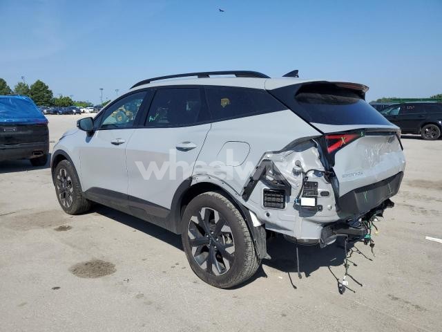 2024 KIA SPORTAGE X LINE (VIN 5XYK6CDF1RG230421) main photo