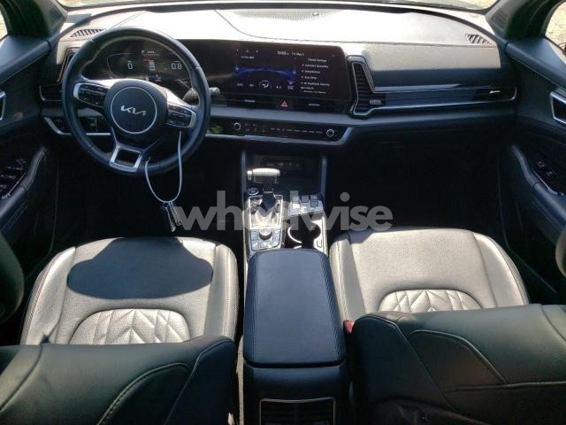 Photo 10 of 2024 KIA SPORTAGE X LINE (VIN 5XYK6CDF2RG143806)