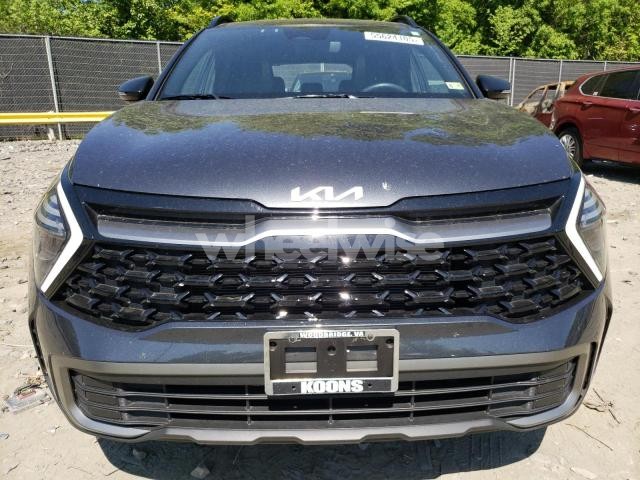 Photo 2 of 2024 KIA SPORTAGE X LINE (VIN 5XYK6CDF2RG143806)