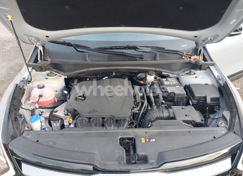 Photo 10 of 2024 Kia Sportage X-LINE (VIN 5XYK6CDF2RG169340)