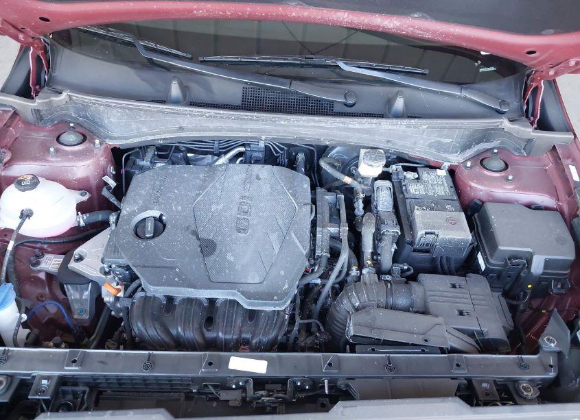 Photo 10 of 2024 Kia Sportage X-LINE (VIN 5XYK6CDF2RG198336)