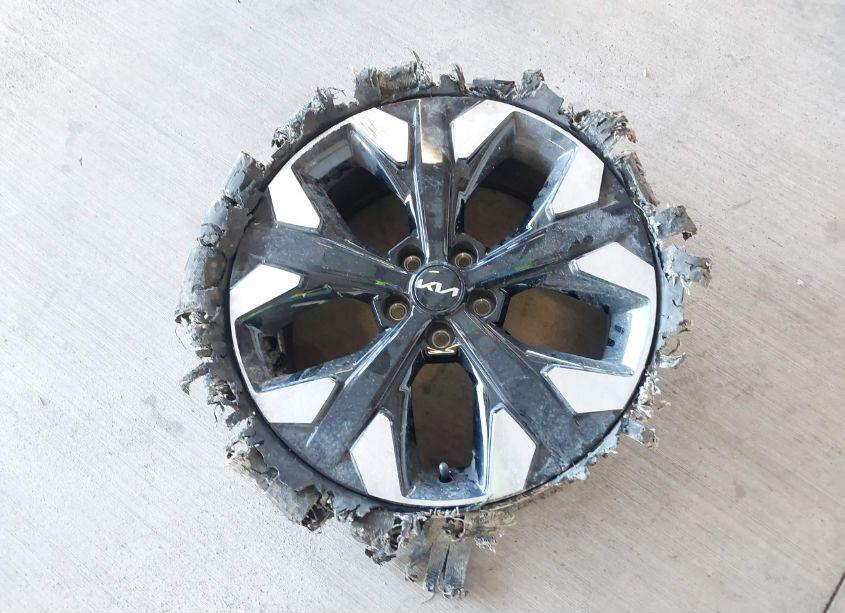 Photo 12 of 2024 Kia Sportage X-LINE (VIN 5XYK6CDF2RG198336)