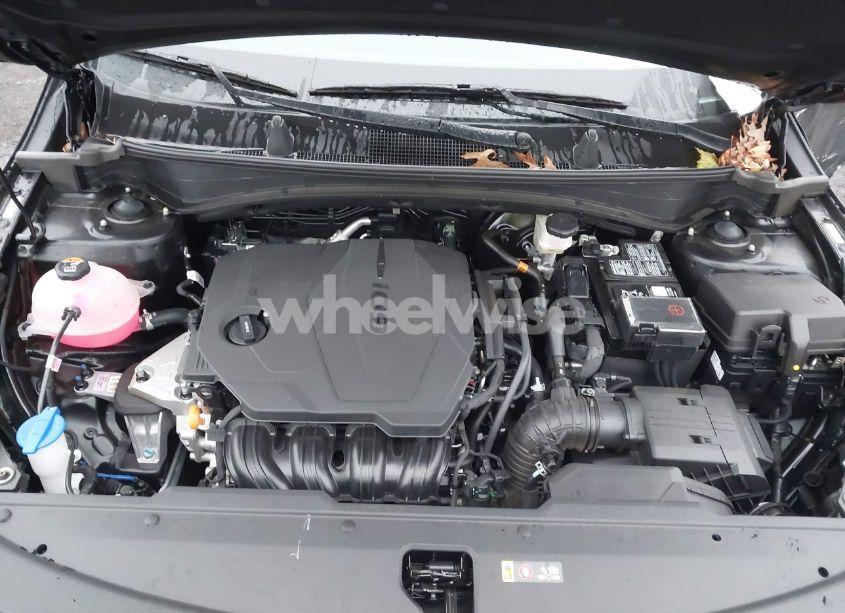 Photo 10 of 2024 Kia Sportage X-LINE (VIN 5XYK6CDF2RG206287)