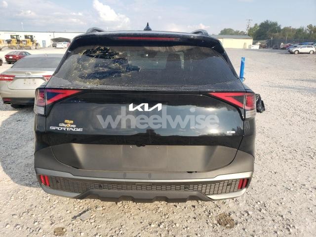 Photo 11 of 2024 KIA SPORTAGE X LINE (VIN 5XYK6CDF2RG226913)