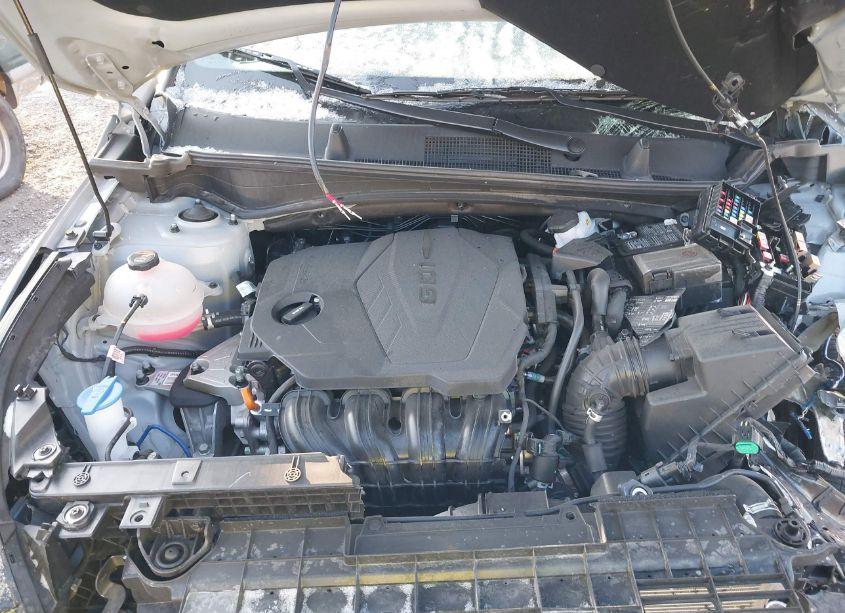 Photo 10 of 2024 Kia Sportage X-LINE (VIN 5XYK6CDF3RG145855)