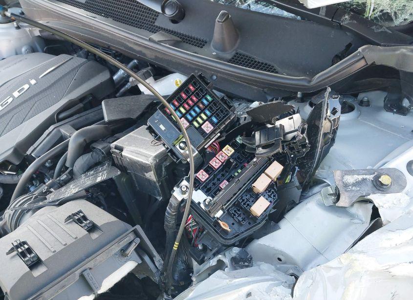 Photo 16 of 2024 Kia Sportage X-LINE (VIN 5XYK6CDF3RG145855)