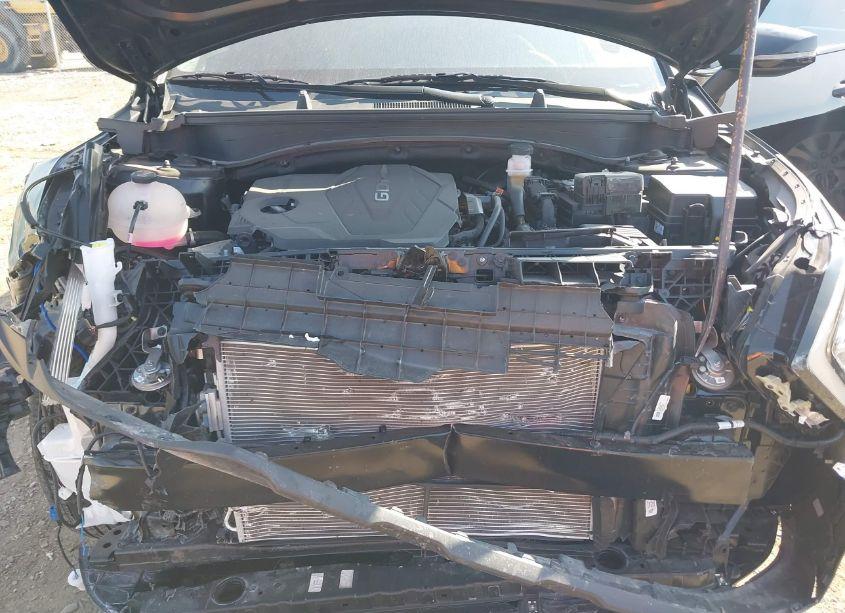 Photo 10 of 2024 Kia Sportage X-LINE (VIN 5XYK6CDF3RG174613)