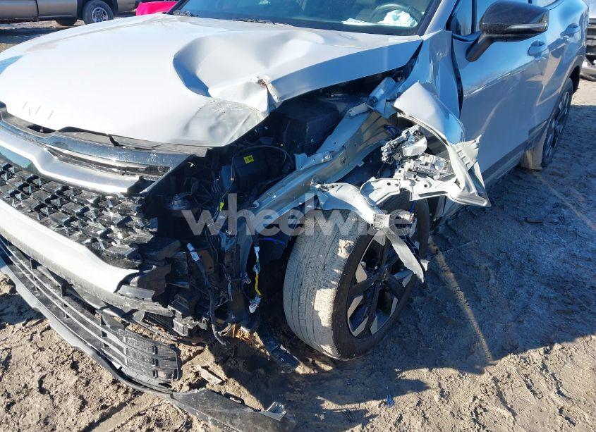 Photo 6 of 2024 Kia Sportage X-LINE (VIN 5XYK6CDF3RG179049)