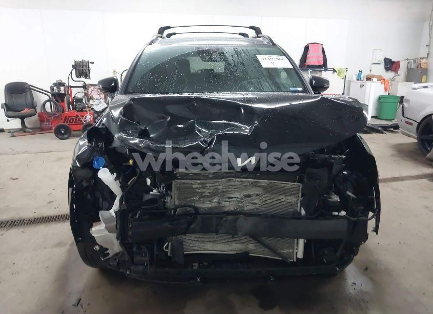 Photo 13 of 2024 Kia Sportage X-LINE (VIN 5XYK6CDF4RG161370)