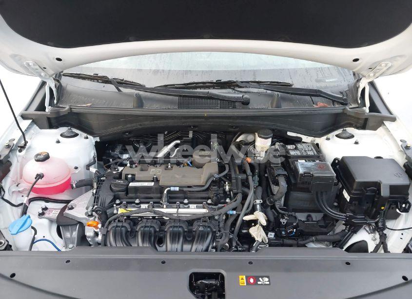 Photo 10 of 2024 Kia Sportage X-LINE (VIN 5XYK6CDF4RG167900)