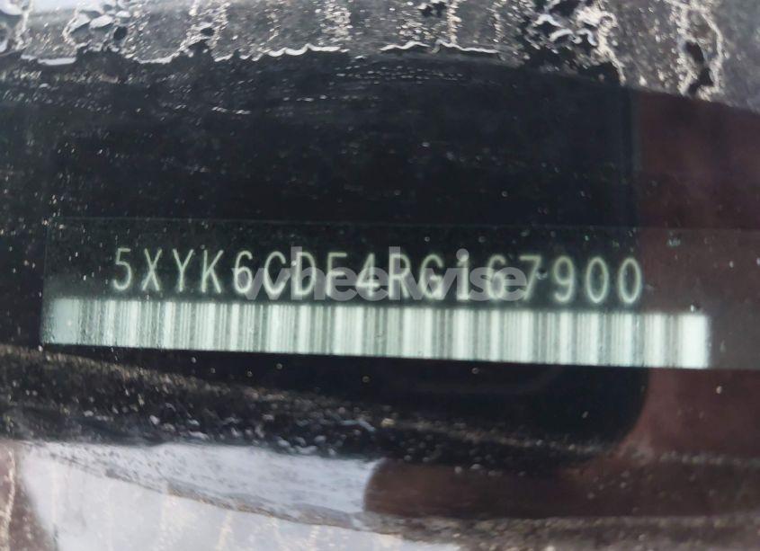 Photo 9 of 2024 Kia Sportage X-LINE (VIN 5XYK6CDF4RG167900)