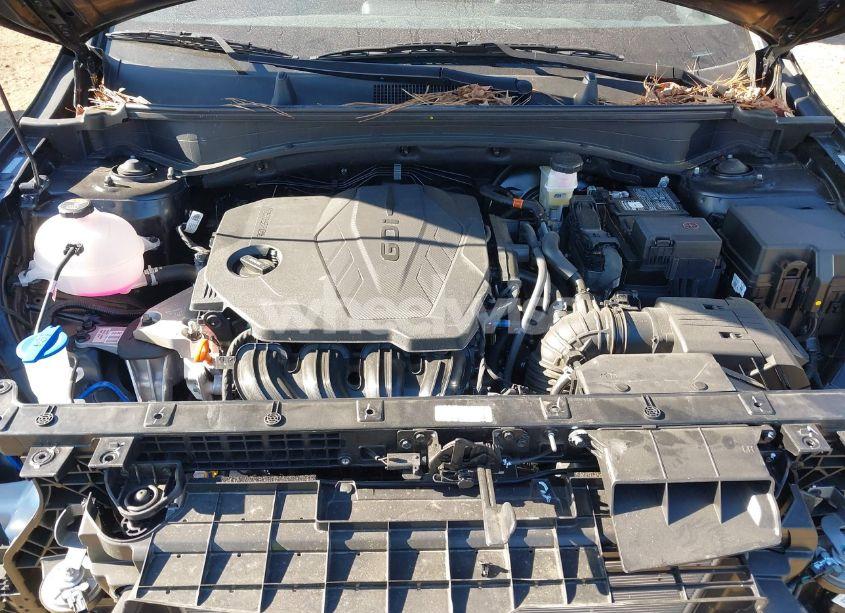 Photo 10 of 2024 Kia Sportage X-LINE (VIN 5XYK6CDF4RG179531)