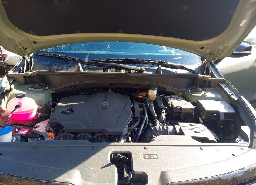 Photo 10 of 2024 Kia Sportage X-LINE (VIN 5XYK6CDF4RG222569)