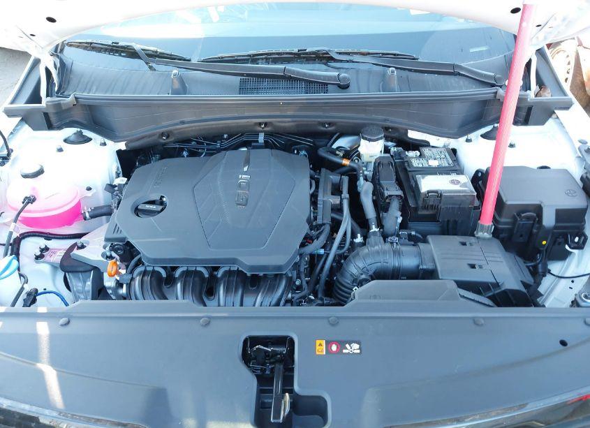 Photo 10 of 2025 Kia Sportage X-LINE (VIN 5XYK6CDF4SG254329)