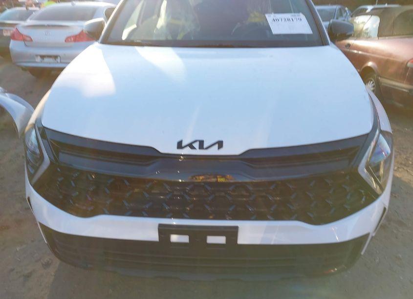 Photo 13 of 2025 Kia Sportage X-LINE (VIN 5XYK6CDF4SG254329)