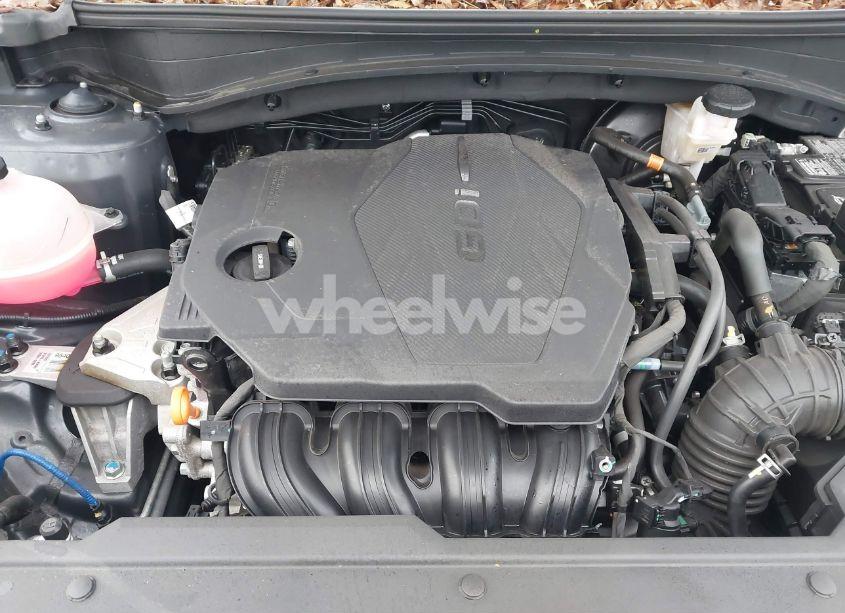 Photo 10 of 2024 Kia Sportage X-LINE (VIN 5XYK6CDF5RG148143)