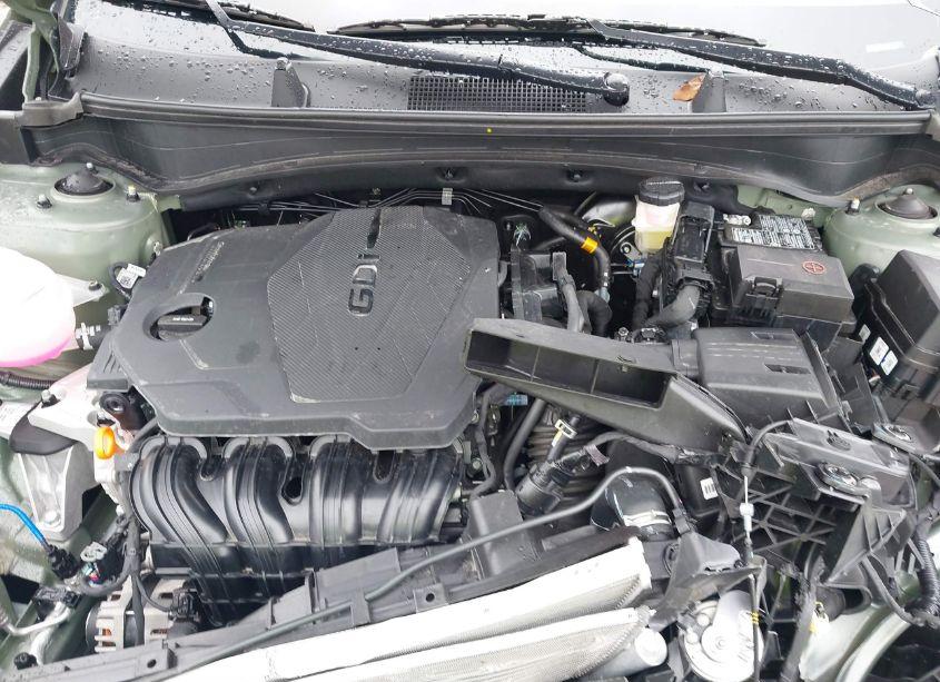 Photo 10 of 2024 Kia Sportage X-LINE (VIN 5XYK6CDF5RG189551)