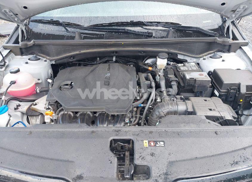 Photo 10 of 2024 Kia Sportage X-LINE (VIN 5XYK6CDF6RG148829)