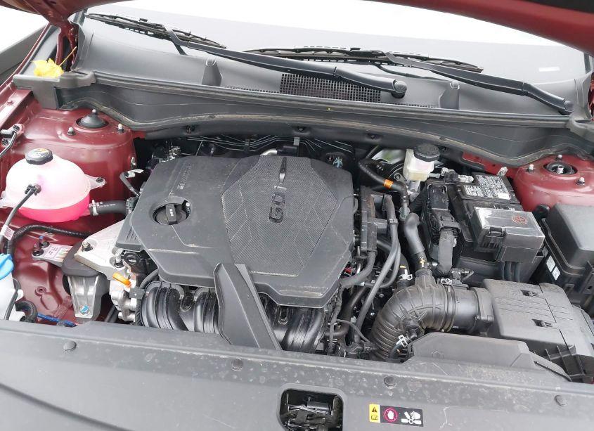 Photo 10 of 2024 Kia Sportage X-LINE (VIN 5XYK6CDF7RG199501)