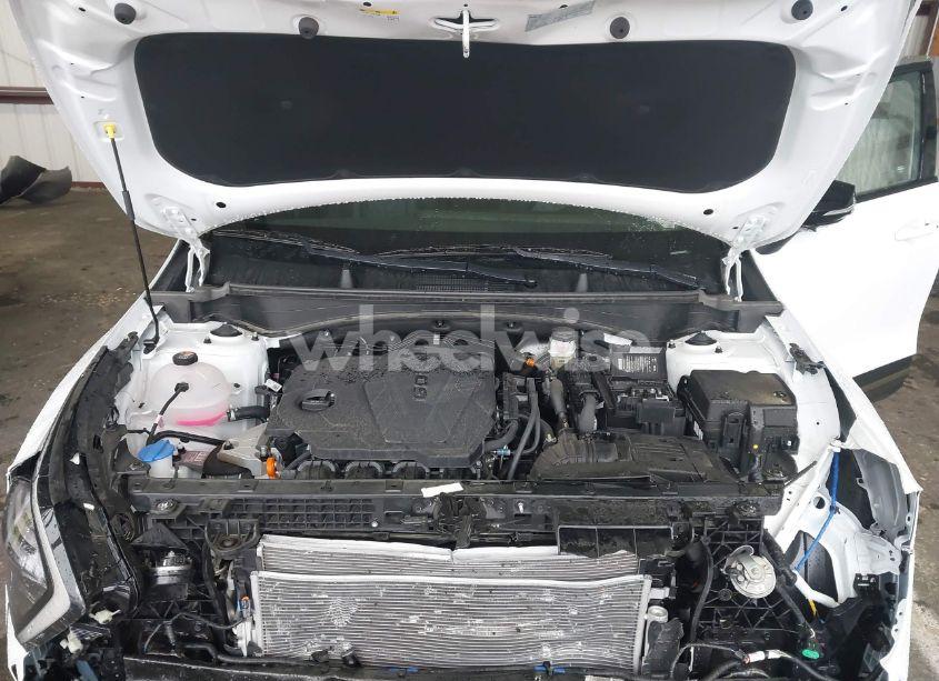 Photo 10 of 2024 Kia Sportage X-LINE (VIN 5XYK6CDF7RG203479)