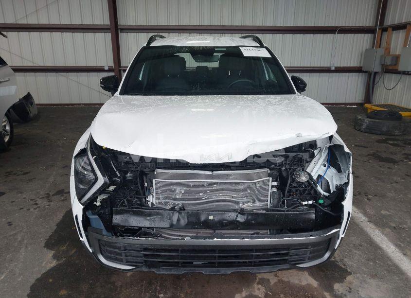 Photo 13 of 2024 Kia Sportage X-LINE (VIN 5XYK6CDF7RG203479)