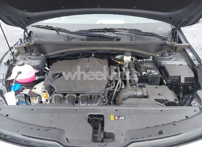 Photo 10 of 2024 Kia Sportage X-LINE (VIN 5XYK6CDF7RG209069)