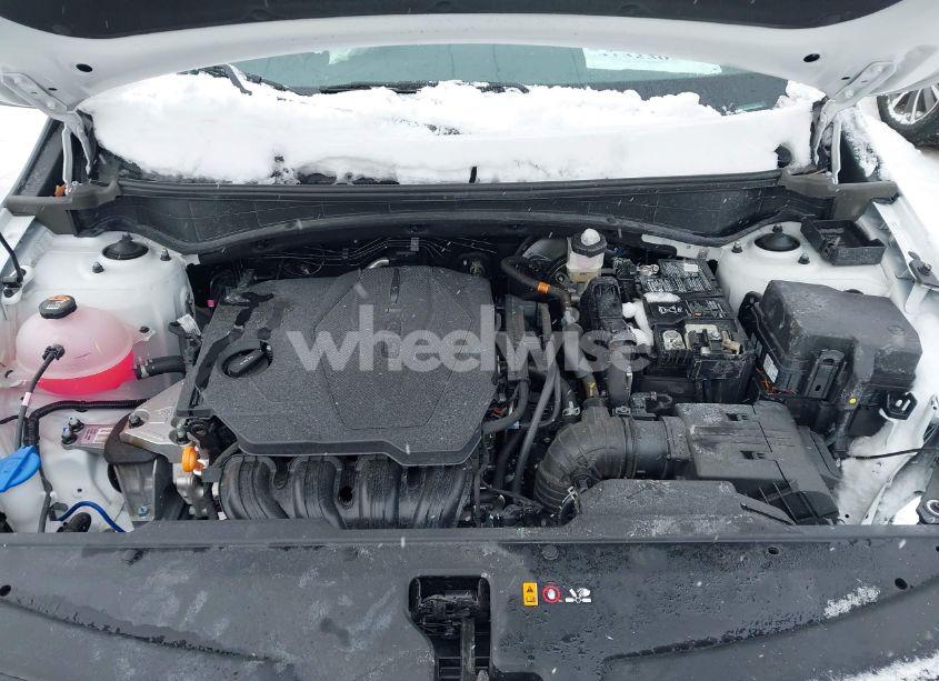 Photo 10 of 2024 Kia Sportage X-LINE (VIN 5XYK6CDF7RG214255)