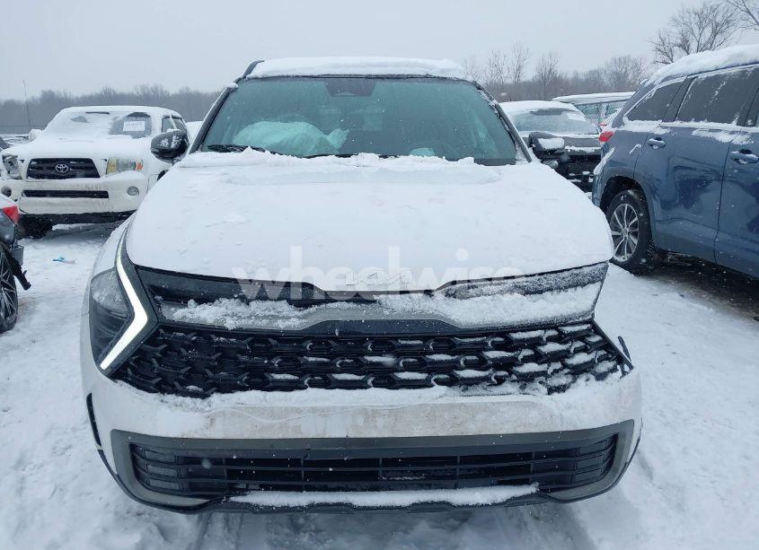 Photo 12 of 2024 Kia Sportage X-LINE (VIN 5XYK6CDF7RG214255)