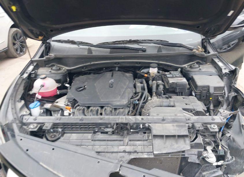 Photo 10 of 2024 Kia Sportage X-LINE (VIN 5XYK6CDF8RG160884)