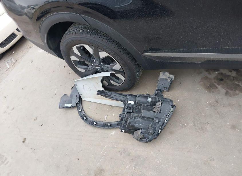 Photo 12 of 2024 Kia Sportage X-LINE (VIN 5XYK6CDF8RG160884)