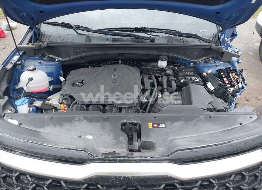 Photo 10 of 2024 Kia Sportage X-LINE (VIN 5XYK6CDF8RG164174)