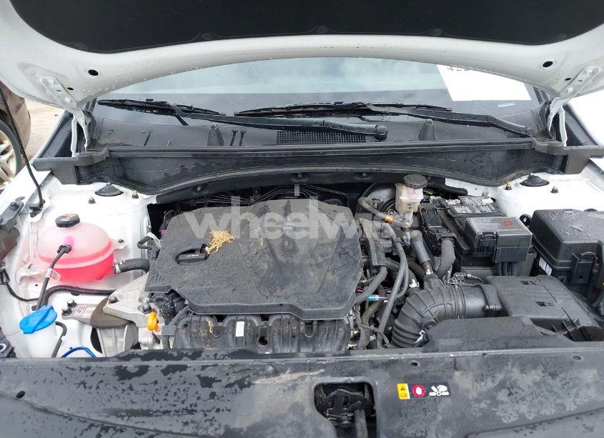 Photo 10 of 2025 Kia Sportage X-LINE (VIN 5XYK6CDF8SG276575)