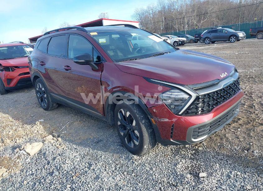 2024 Kia Sportage X-LINE (VIN 5XYK6CDF9RG213334) main photo