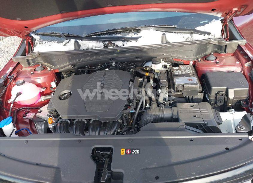 Photo 10 of 2024 Kia Sportage X-LINE (VIN 5XYK6CDF9RG213334)