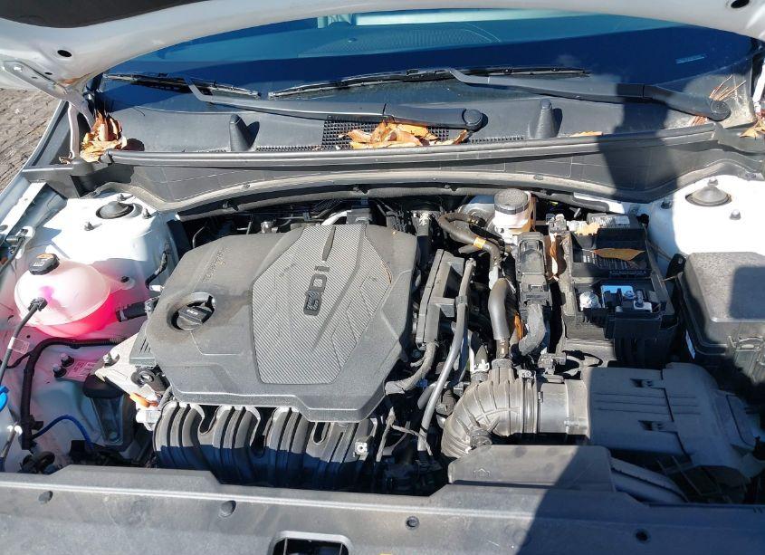 Photo 10 of 2023 Kia Sportage X-PRO PRESTIGE (VIN 5XYK7CAF0PG072569)