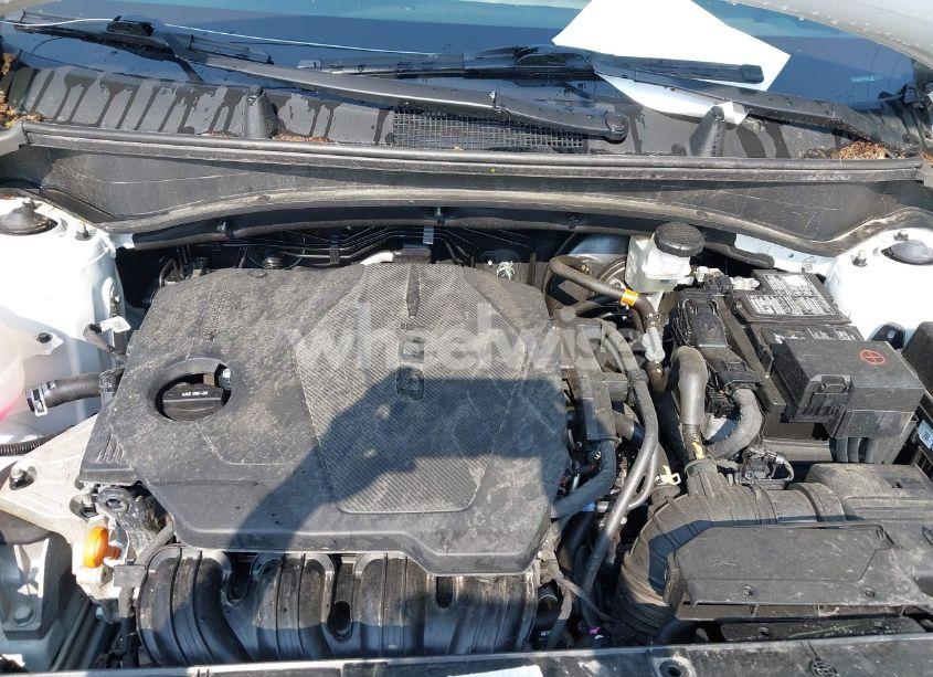 Photo 10 of 2024 Kia Sportage X-PRO PRESTIGE (VIN 5XYK7CDF3RG184796)