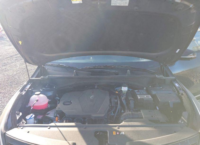 Photo 10 of 2024 Kia Sportage X-PRO PRESTIGE (VIN 5XYK7CDFXRG217955)