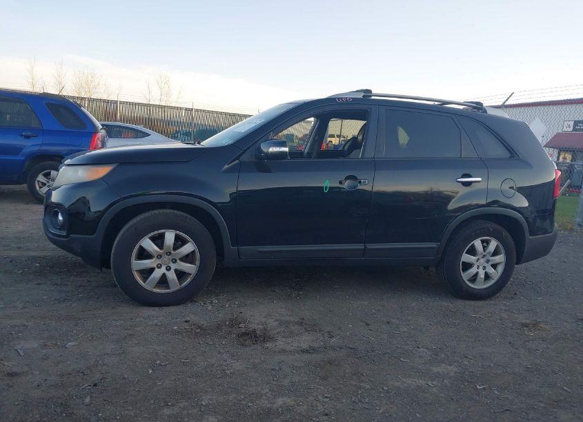 Photo 13 of 2011 Kia Sorento LX (VIN 5XYKT3A13BG185344)
