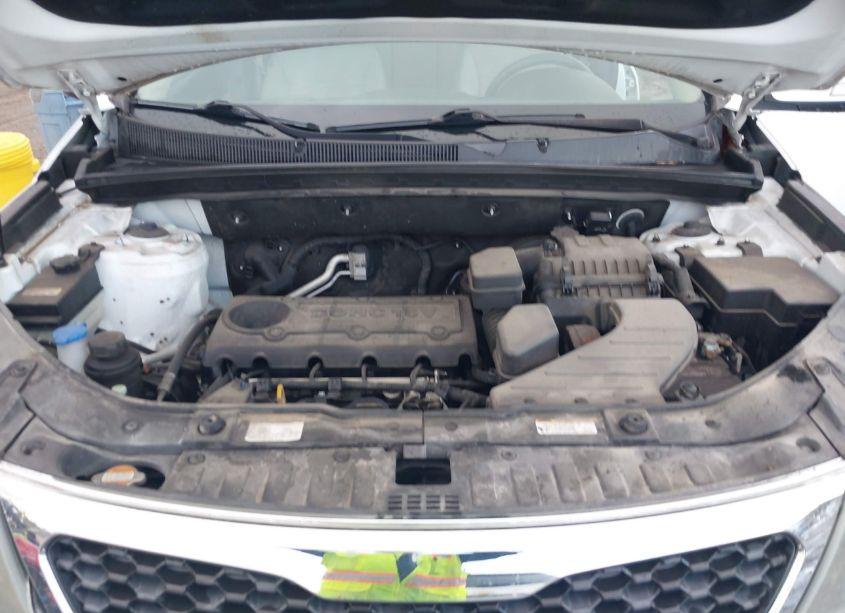 Photo 10 of 2011 Kia Sorento LX (VIN 5XYKT3A14BG051197)