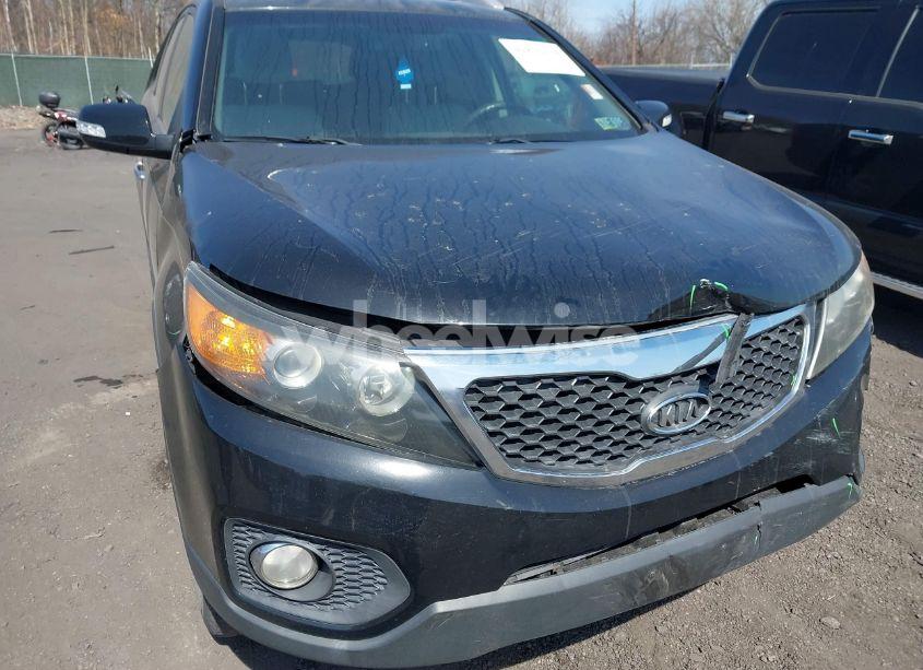 Photo 6 of 2011 Kia Sorento LX (VIN 5XYKT3A1XBG065217)