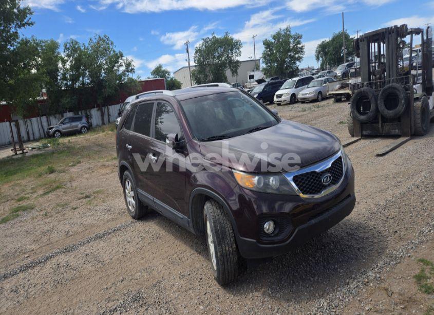 2013 Kia Sorento LX (VIN 5XYKT3A64DG362692) main photo
