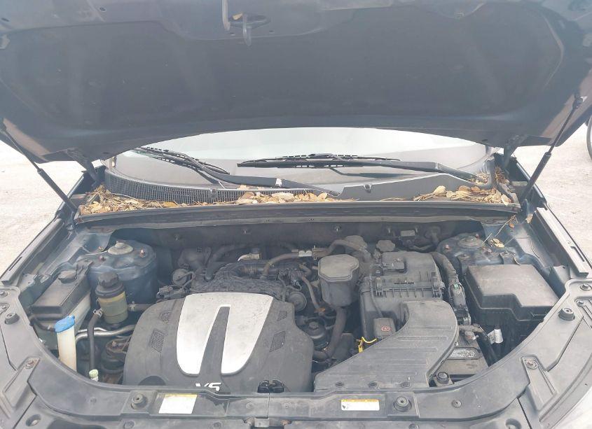Photo 10 of 2011 Kia Sorento LX V6 (VIN 5XYKT4A20BG164885)