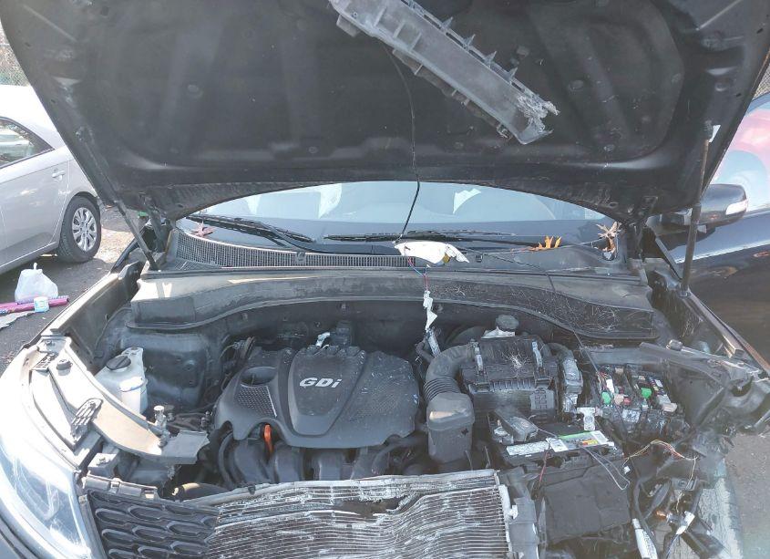 Photo 10 of 2014 Kia Sorento LX (VIN 5XYKT4A67EG482624)