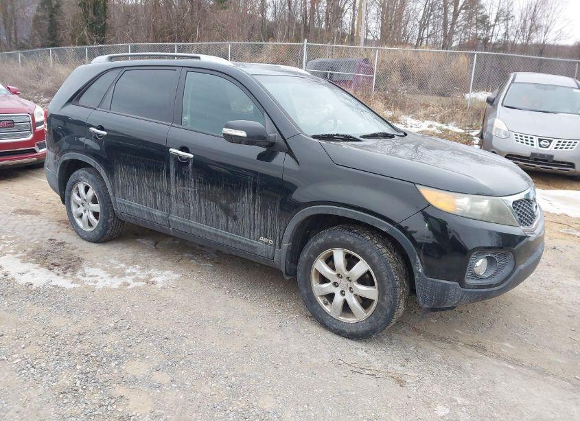 2011 Kia Sorento LX (VIN 5XYKTCA18BG066169) main photo