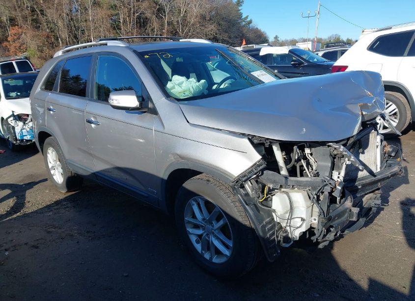 2014 Kia Sorento LX (VIN 5XYKTCA64EG522992) main photo