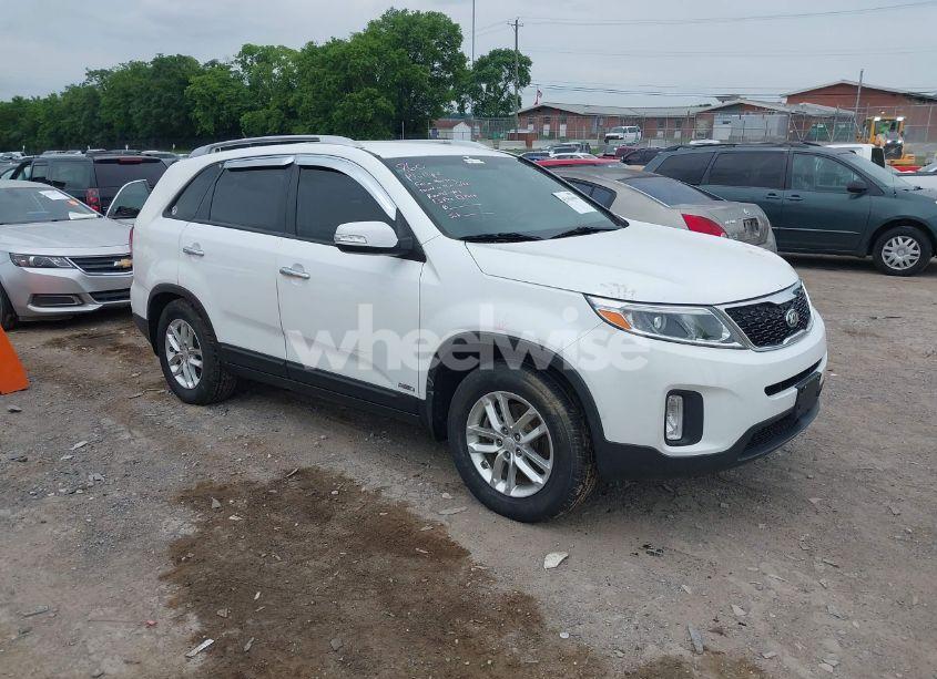 2014 Kia Sorento LX (VIN 5XYKTCA64EG544488) main photo